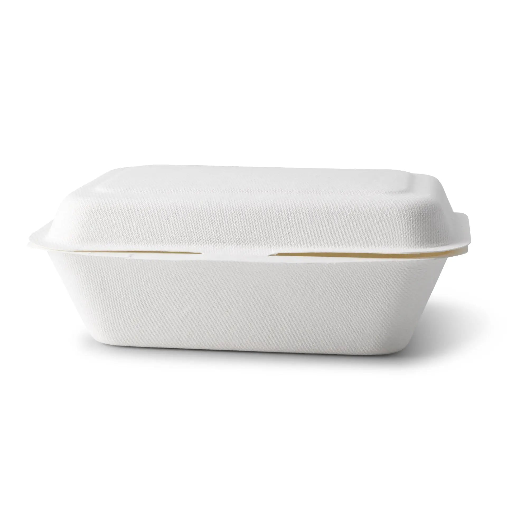 Sugarcane food containers 18.5 x 13 x 6.5 cm, hinged-lid, rectangular