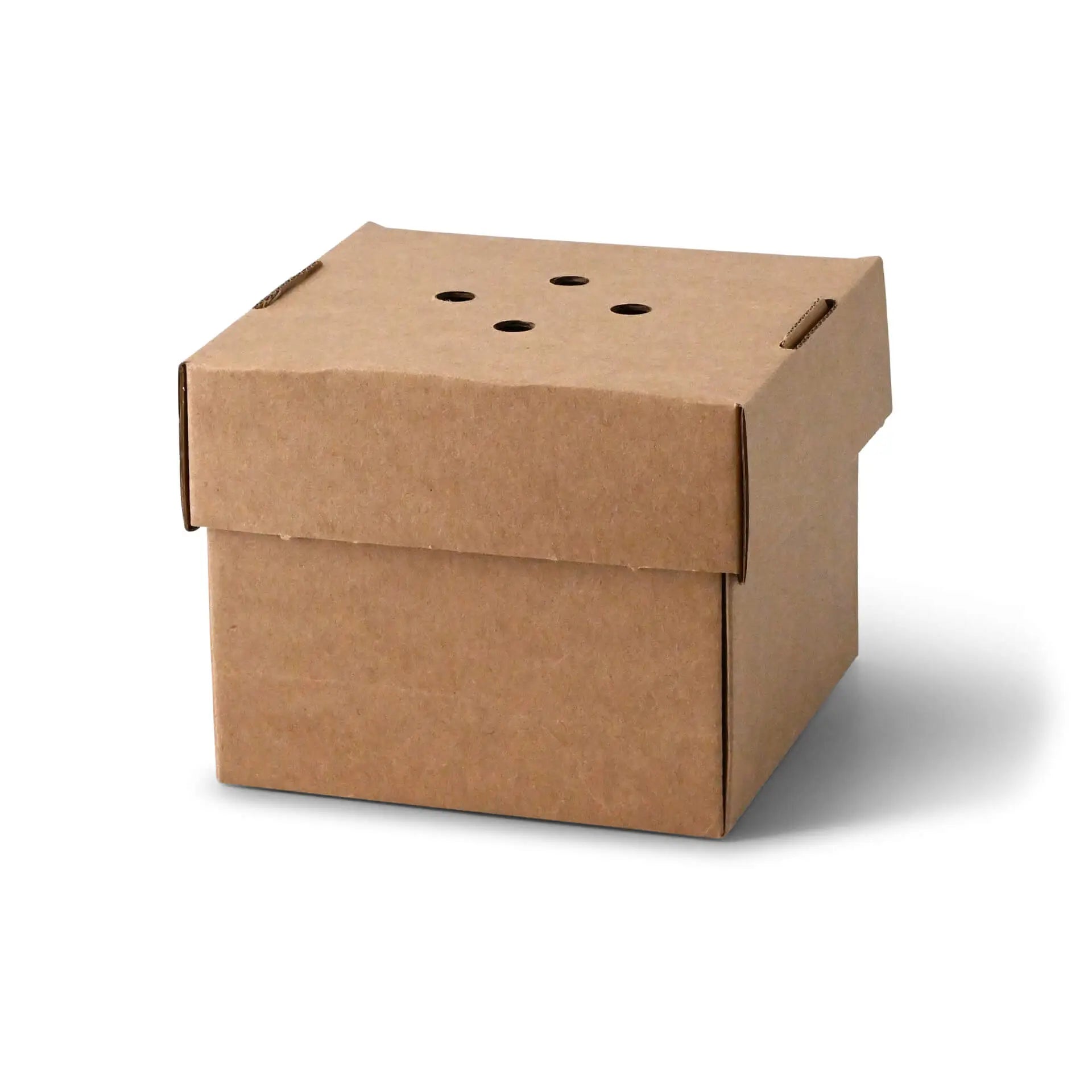 Burger box 13 x 13 x 10 cm, kraft board, foldable