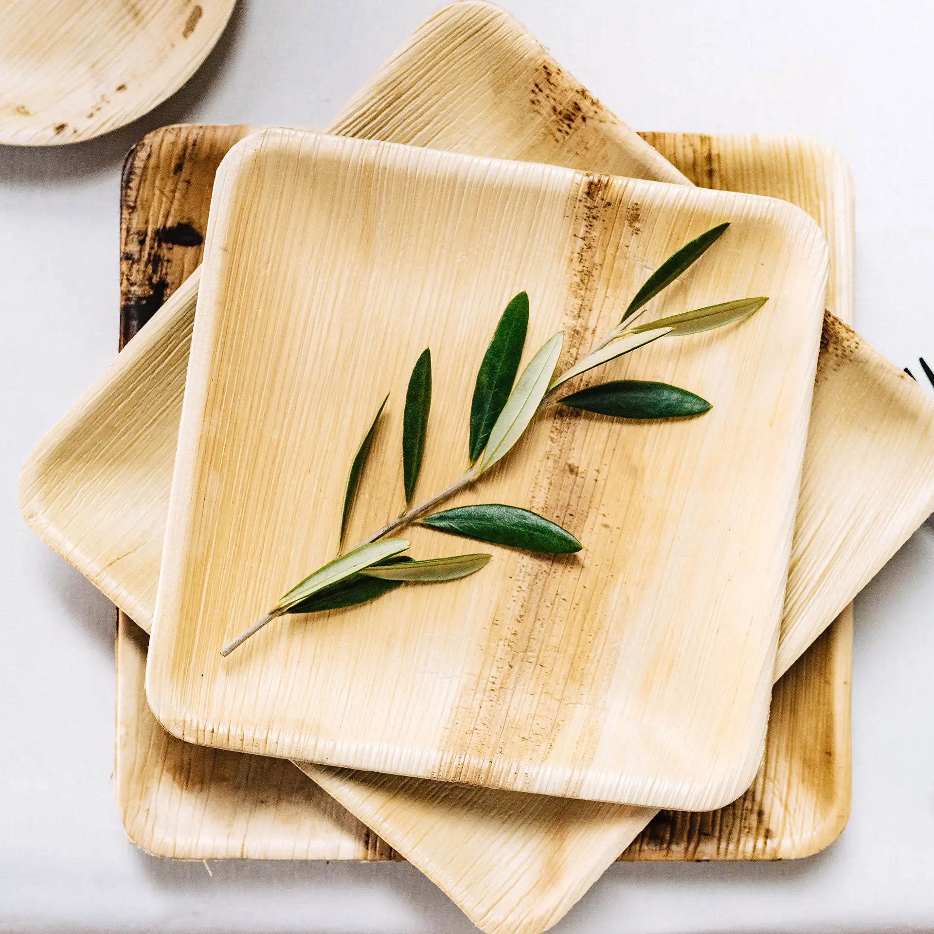 Palm leaf plates "Palmware®" 20 x 20 cm, square